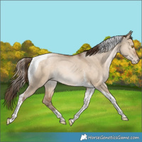 Horse Color:Brown Pearl Dun Tobiano Rabicano