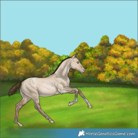 Horse Color:Brown Snowdrop Dun Tobiano Varnish Rabicano 