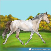 Horse Color:Bay Snowdrop Pearl Dun Tobiano Blanket Rabicano
