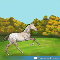 Horse Color:Bay Snowdrop Pearl Dun Tobiano Blanket Rabicano 