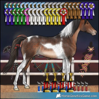 Horse Color:Brown Tobiano Varnish Rabicano 