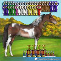 Horse Color:Brown Tobiano Varnish Rabicano 