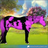 Horse Color:Void Watercolor White Spotted Liver Chestnut Tobiano 