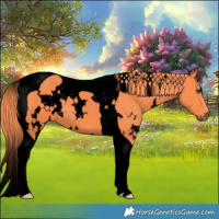 Horse Color:Void Watercolor White Spotted Liver Chestnut Tobiano 