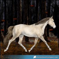 Horse Color:Bay Snowdrop Dun Sabino Tobiano Rabicano 