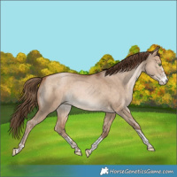Horse Color:Bay Pearl Dun Sabino Tobiano Rabicano