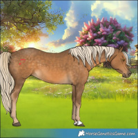 Horse Color:Chocolate Palomino 