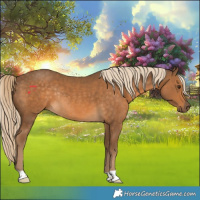 Horse Color:Chocolate Palomino Rabicano 