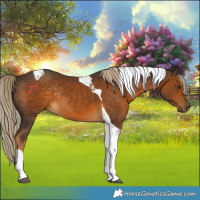 Horse Color:Chocolate Palomino Tobiano Rabicano 