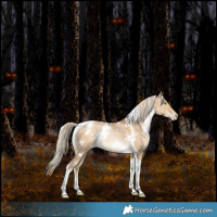 Horse Color:White Spotted Liver Red Dun Snowdrop Pearl Tobiano Rabicano 