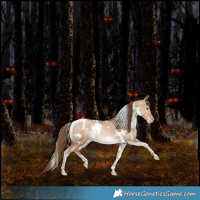 Horse Color:White Spotted Liver Red Dun Pearl Tobiano Rabicano