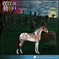 Horse Color:White Spotted Brown Dun Tobiano Appaloosa Rabicano