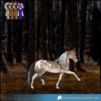 Horse Color:White Spotted Brown Dun Tobiano Appaloosa Rabicano 