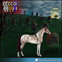 Horse Color:White Spotted Brown Dun Tobiano Blanket Rabicano 