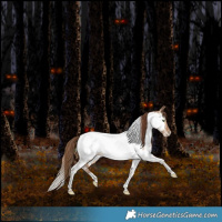 Horse Color:Brown Pearl Dun Tobiano Near Fewspot Rabicano 