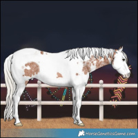 Horse Color:White Spotted Silver Bay Ice Splash Tobiano Rabicano 