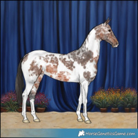 Horse Color:White Spotted Brown Ice Tobiano 