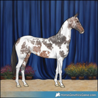 Horse Color:White Spotted Brown Ice Tobiano