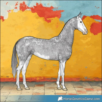 Horse Color:Smoky Blue Ice Roan Splash Rabicano 
