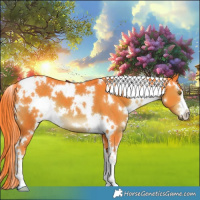 Horse Color:Watercolor White Spotted Liver Chestnut