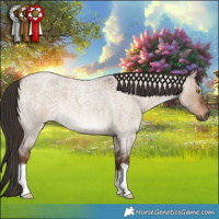 Horse Color:Liver Red Dun Roan 