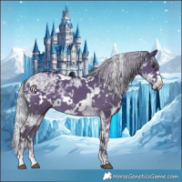 Horse Color:White Spotted Silver Black Ice