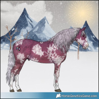 Horse Color:Silver Black Ice