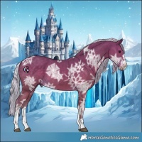 Horse Color:Silver Black Ice 
