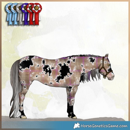 Horse Color:Plaid  White Spotted Liver Red Dun 