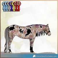 Horse Color:Plaid White Spotted Liver Red Dun