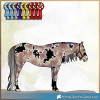 Horse Color:Plaid  White Spotted Liver Red Dun 