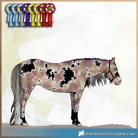 Horse Color:Plaid  White Spotted Liver Red Dun 