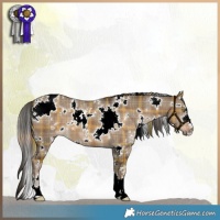 Horse Color:Plaid  White Spotted Liver Red Dun 