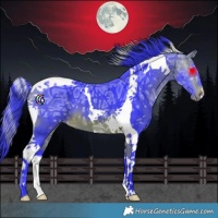 Horse Color:Watercolor Bay Ice Tobiano 