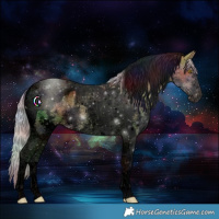 Horse Color:Void Nacre Silver Buckskin Sabino Tobiano