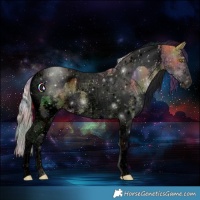 Horse Color:Void Nacre Silver Buckskin Sabino Tobiano