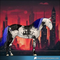 Horse Color:Void Painted Cremello Tobiano