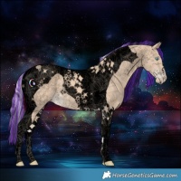 Horse Color:Void Painted Cremello Tobiano