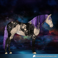 Horse Color:Void Painted Cremello Tobiano