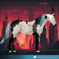 Horse Color:Void Painted Cremello Tobiano