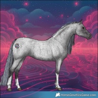 Horse Color:Painted Smoky Blue Roan Tobiano 