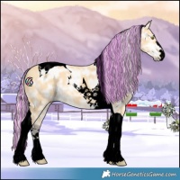 Horse Color:Void Painted Silver Buckskin Ice Tobiano 
