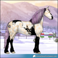 Horse Color:Void Painted Silver Buckskin Ice Tobiano