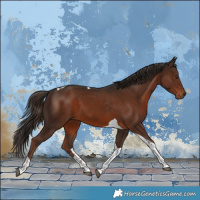Horse Color:Liver Chestnut Tobiano 