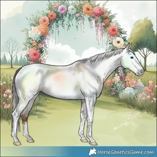 Horse Color:Gray Classic Champagne Roan Tobiano Frame Blanket