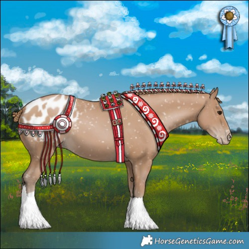 Horse Color:Black Pearl Appaloosa 