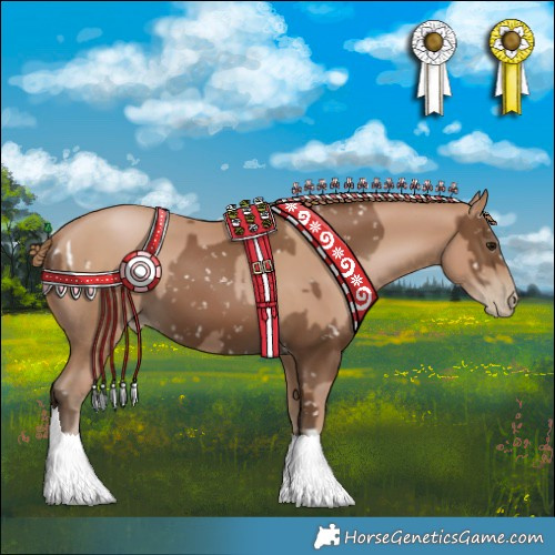 Horse Color:Gray Black Pearl Appaloosa  and Black Pearl 