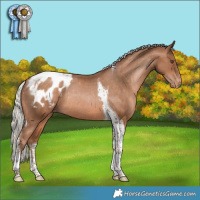 Horse Color:Silver Brown Snowdrop Pearl Tobiano Blanket Rabicano 