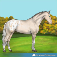 Horse Color:Silver Brown Snowdrop Pearl Tobiano Blanket Rabicano 