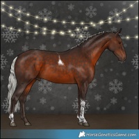Horse Color:Silver Brown Tobiano